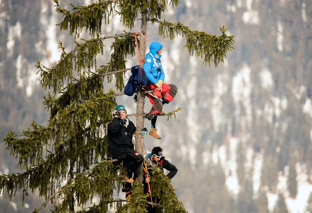 Coaches sit on a tree as they follow the first training run for the men's Downhill race of the FIS Alpine Skiing World Cup in Garmisch-Partenkirchen, Germany, 25 January 2018. (Photo by Lisi Niesner/EPA/EFE)