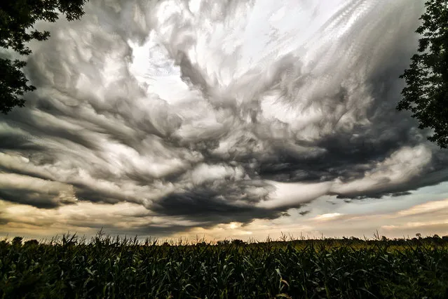 “Twisted Sky”. (Photo by Matt Molloy)