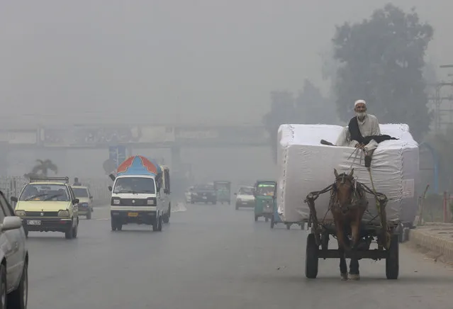 A horse cart and vehicles are driven on a road while fog envelopes the area in Peshawar, Pakistan, Sunday, November 5, 2017. (Photo by Muhammad Sajjad/AP Photo)