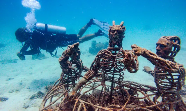 In this underwater photo taken on August 19, 2020 a diver swims next to metal figures set up on an artificial reef for marine conservation by Koh Tao island in the Gulf of Thailand. (Photo by Romeo Gacad/AFP Photo)