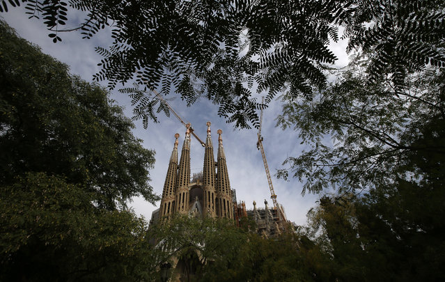 A view of the Sagrada Familia Basilica, designed by architect Antoni Gaudi, in Barcelona, Spain, Wednesday, October 21, 2015.  Barcelona's breathtaking La Sagrada Familia Basilica has begun its final phase of raising six immense towers. Presenting the project Thursday, chief architect Jordi Fauli said the central "Tower of Jesus Christ," the tallest of the six, will rise 172.5 meters (566 feet) high, making it "the tallest religious building in Europe". (Photo by Manu Fernandez/AP Photo)