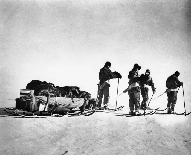 Four of the five members of the doomed Scott expedition near the South Pole, which they reached on January 17, 1912. Capt. Robert Falcon Scott, leader of the expedition, described the pole as an “awful place” in the diary found ten months later with his frozen body. All five men in the party died. Scott's insistence on using horses instead of dogs to pull supplies later was held responsible for fatal delays on the trip. (Photo by AP Photo)