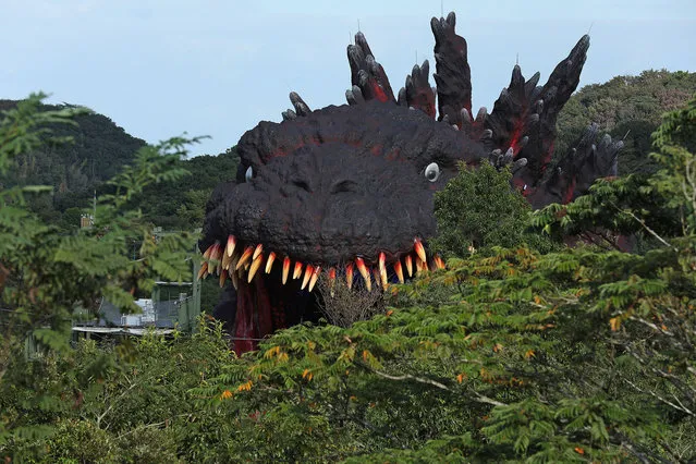 The Godzilla replica zip-line ride as a part of “National Awaji Island Institute of Godzilla Disaster” is pictured at the Nijigen no Mori theme park on Awaji Island on October 11, 2020 in Awajishima, Hyogo Prefecture, Japan. “National Awaji Island Institute of Godzilla Disaster” featuring “life-size” Godzilla replica zipline is the latest addition to this park featuring attractions themed around Japanese anime works. (Photo by Buddhika Weerasinghe/Getty Images)