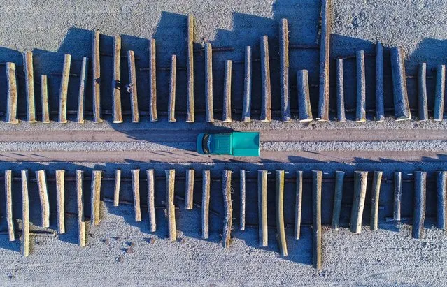 An aerial picture taken with a drone on January 8, 2018 shows wood logs lined up at a storage facilities of a Brandebourg's forestry company in the eastern German town of Chorin. (Photo by Patrick Pleul/AFP Photo/DPA)