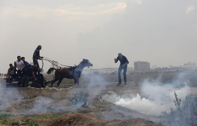 A Palestinian protester runs to pick up a tear gas canister while others help a wounded youth on a horse cart during clashes with Israeli soldiers on the Israeli border Eastern Gaza City, Friday, November 6, 2015. (Photo by Adel Hana/AP Photo)
