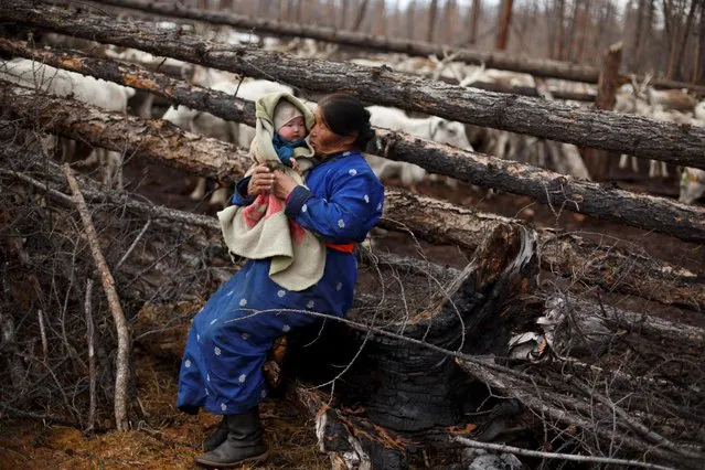Ethnic Dukha nomad Jargal Gombosed holds her grandchild outside her family's reindeer pen in the forest near the village of Tsagaannuur, Khovsgol aimag, Mongolia, April 20, 2018. The pen holds the reindeer herd of the families of four of her children. (Photo by Thomas Peter/Reuters)