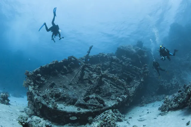 Divers swim next to an old wreck at the Red sea on the north of the Ras Banas peninsula in Egypt, December 1, 2015. (Photo by Sergey Dolzhenko/EPA)