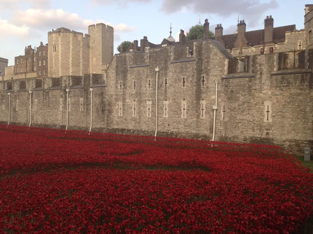 Ceramic Poppies Surround the Tower of London