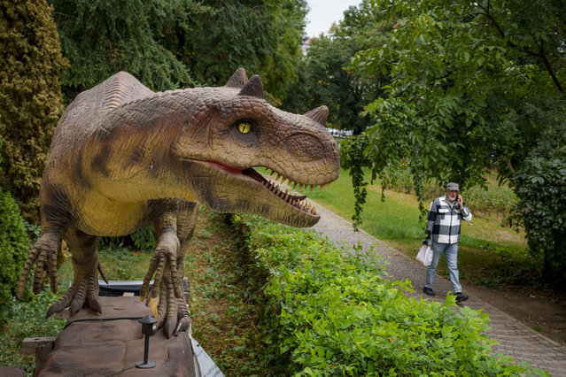 An animated model of a dinosaur stands in Dino Park outside the National Geologic Museum in Bucharest, Romania, Monday, September 16, 2024. (Photo by Andreea Alexandru/AP Photo)