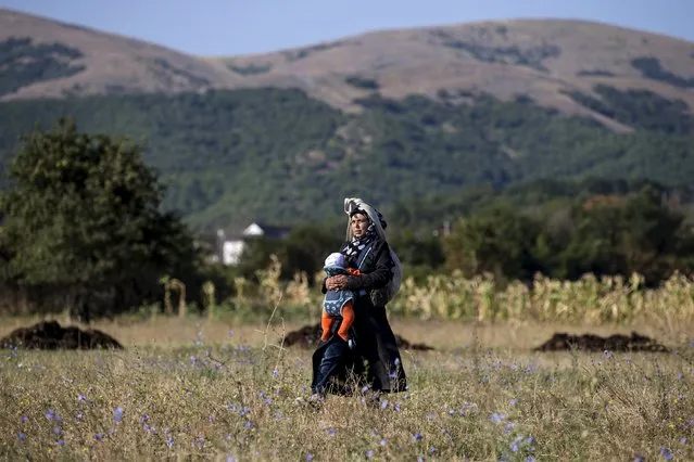 A migrant from Syria carries her child as she walks through a field in the village of Miratovac near the town of Presevo, Serbia August 24, 2015. (Photo by Marko Djurica/Reuters)