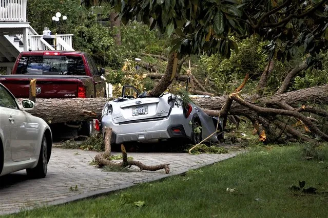 Downed trees in the Great Neck area of Virginia Beach, Va.,on Monday,May 1, 2023. The National Weather Service confirmed that a tornado hit near the area last night. (Photo by Kristen Zeis/For The Washington Post)