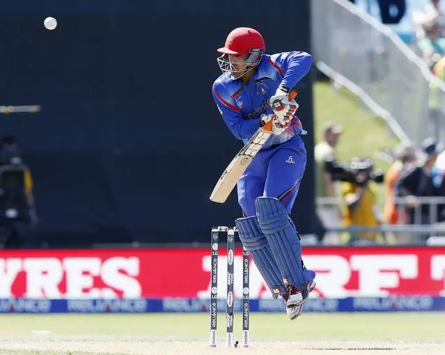 Afghanistan's Samiullah Shinwari clips the ball away against New Zealand during their Cricket World Cup match in Napier, March 8, 2015. REUTERS/Nigel Marple (NEW ZEALAND - Tags: SPORT CRICKET)