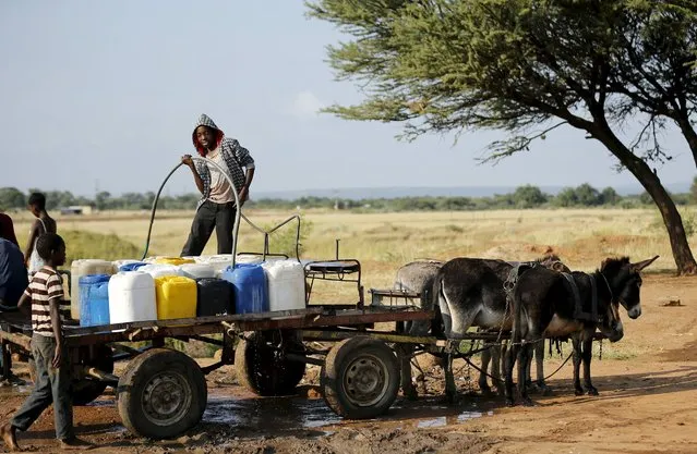 Villagers collect water on a donkey cart from a communal tap in Rapotokwane village in Limpopo, March 21, 2015. (Photo by Siphiwe Sibeko/Reuters)