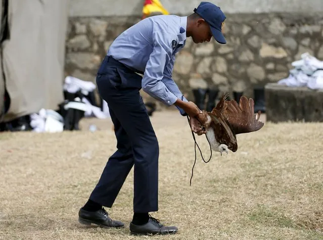 An eagle, the symbol of Sri Lanka's Air Force tries to fly away while a soldier attempts to control it during a rehearsal for Sri Lanka's 68th Independence day celebrations in Colombo, February 2, 2016. (Photo by Dinuka Liyanawatte/Reuters)