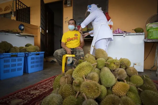 A nurse administers a Pfizer COVID-19 vaccine to an durian fruit vendor at his house in rural Sabab Bernam, central Selangor state, Malaysia, Tuesday, July 13, 2021. Medical teams are going house to house in rural villages to reach out to elderly citizens as the government seeks to ramp up its vaccination program. Despite a strict lockdown, the pandemic has worsened with more than 844,000 confirmed cases nationwide and over 6,200 deaths. (Photo by Vincent Thian/AP Photo)