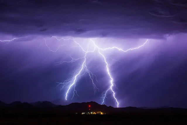 An explosion of lightning seems to resemble a bird rising from the mountains in Arizona, USA, 18 August 2016. (Photo by Mike Olbinski/Barcroft Images)