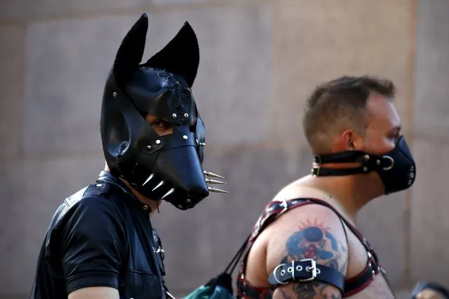 Performers dressed in their costumes prepare to participate in the Gay and Lesbian Mardi Gras parade in Sydney, Australia, March 5, 2016. (Photo by David Gray/Reuters)