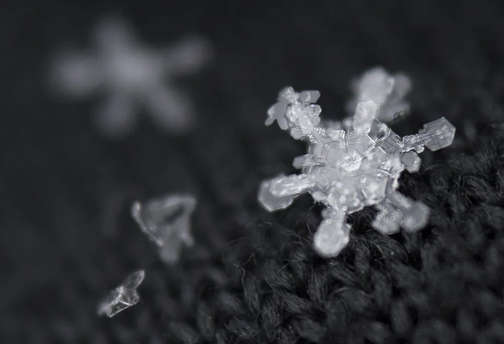 Simply Some Photos: Snowflakes