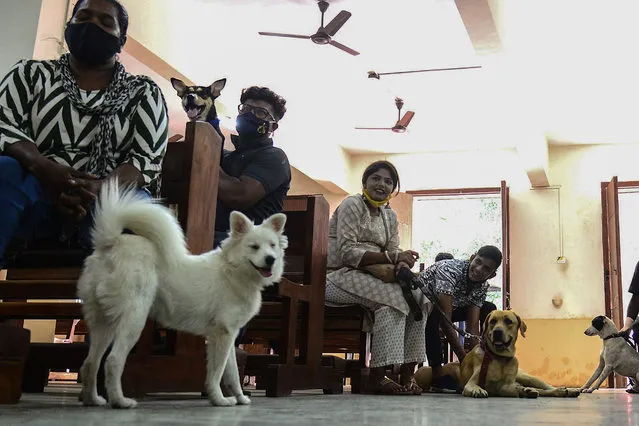 People wait with their pets for them to be blessed by a priest during an animal blessing ceremony at the St. John the Evangelist Church in Mumbai on October 10, 2021. (Photo by Sujit Jaiswal/AFP Photo)