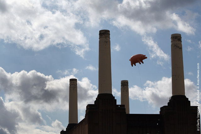 An inflatable pig flies above Battersea Power Station in a recreation of Pink Floyd's “Animals” album cover
