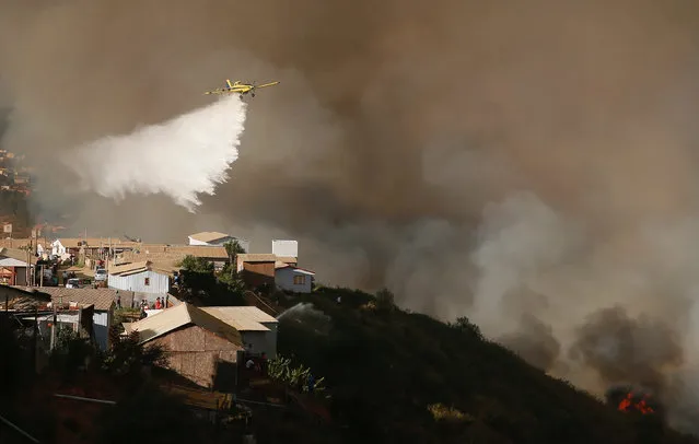 An aircraft makes a water drop to prevent a wildfire from spreading to homes in Vina del Mar, Chile, March 12, 2017. (Photo by Rodrigo Garrido/Reuters)