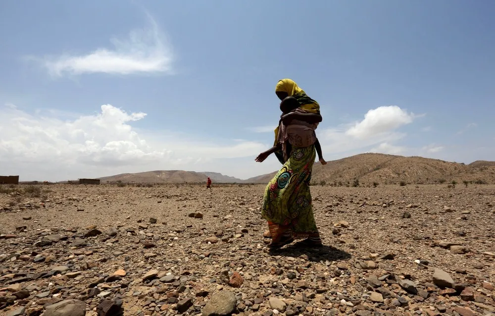 Struggling for Survival in Drought-hit Somaliland