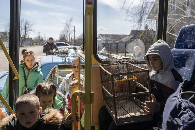 10 year-old Roma, holds a cage with two parrots inside a bus leaving from the city of Bashtanka , Mikolaiv district, Ukraine, after he and his family flee from Kherson which is occupied by the Russian forces, on Thursday, April 7, 2022. (Photo by Petros Giannakouris/AP Photo)