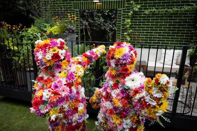 People dressed in flowers pose during the Chelsea Flower Show in London, Britain, 22 May 2023. The Annual gardening exhibition runs from 23 to 27 May 2023 at the Royal Chelsea Hospital in London. (Photo by Tolga Akmen/EPA/EFE/Rex Features/Shutterstock)