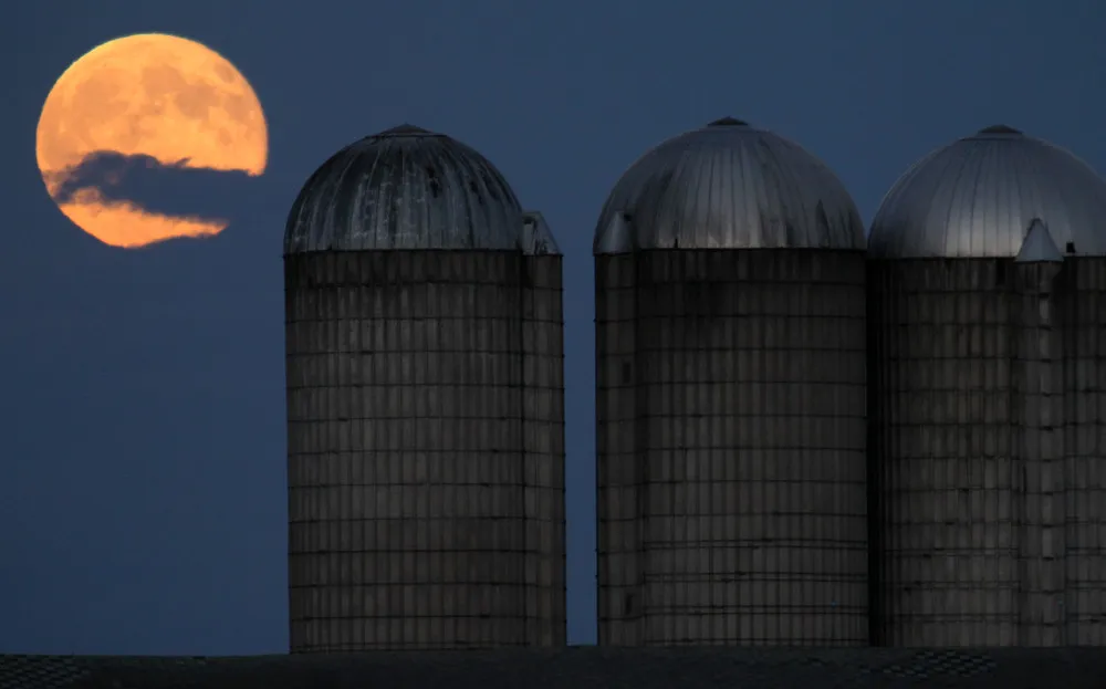 Simply Some Photos: Moon