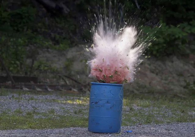 A consumer-grade firework explodes a watermelon Wednesday, June 22, 2022, during a fireworks and summer grilling safety demonstration at the Pittsburgh Bureau of Police Firing Range in the Highland Park neighborhood of Pittsburgh. (Photo by Morgan Timms/Pittsburgh Post-Gazette via AP Photo)