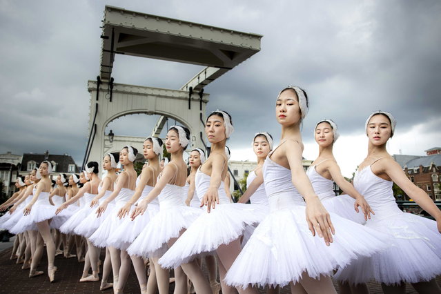 Some of the 48 dancers from Shanghai Ballet perform on the bridge Magere Brug on the occasion of “The Greatest Swan Lake in the World” show in Amsterdam, The Netherlands, 29 August 2023. At the start of the new theater season, the Royal Theatre Carre presents “The Greatest Swan Lake in the World” from 30 August to 17 September 2023. (Photo by Ramon van Flymen/EPA)