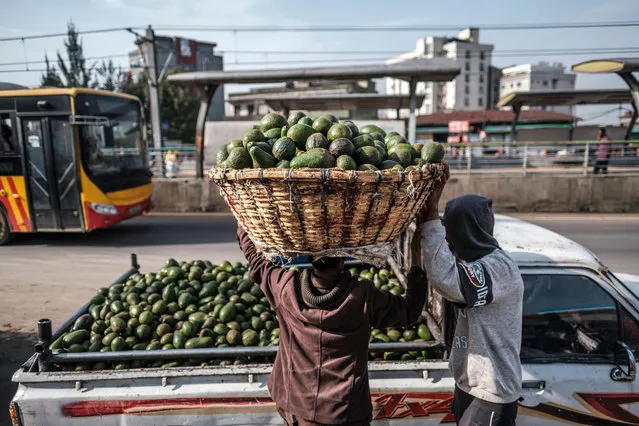 A man holds a basket of avocados on his head in a market in the city of Addis Ababa, Ethiopia, on June 23, 2022. In a context of an increasing inflation, and still submerged in conflict, Ethiopia’s economy struggles to keep on growing as it used to do a few years ago while rated on the world’s fastest growing economies. In his last speech to the parliament, prime minister Abiy Ahmed stated that “Inflation has been a huge challenge in Ethiopia. Given the crises in the world and the conflict in our country, it created a big pressure on us”. (Photo by Eduardo Soteras/AFP Photo)