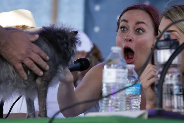 Judge Mamrie Hart reacts to Monkey, a dog from Pleasant Hill, Calif., at the World's Ugliest Dog competition, Friday, June 24, 2022, in Petaluma, Calif. (Photo by D. Ross Cameron/AP Photo)