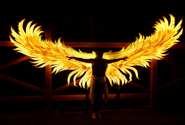 A man stands in front of the illuminated wings during the “Festival of Lights in the Forest” titled under Lights and Dreams, at the Turkcell Platinum park in Istanbul, Turkiye on August 15, 2023. (Photo by Erhan Elaldi/Anadolu Agency via Getty Images)