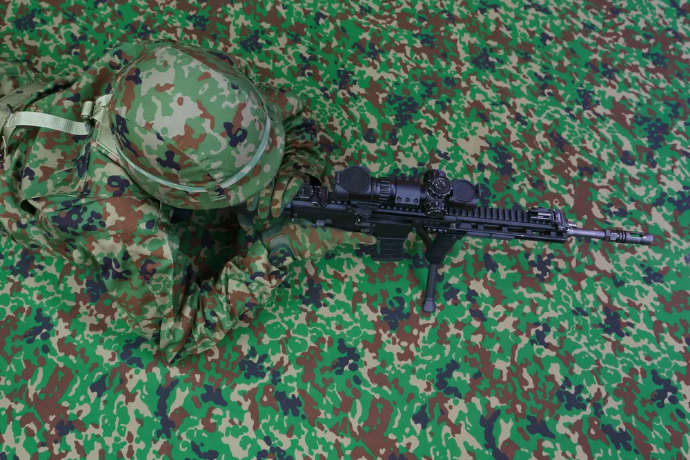 A Look at Life in Japan