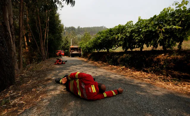 Firefighters sleep after extinguishing part of a forest fire near Agueda, Portugal August 12, 2016. (Photo by Rafael Marchante/Reuters)