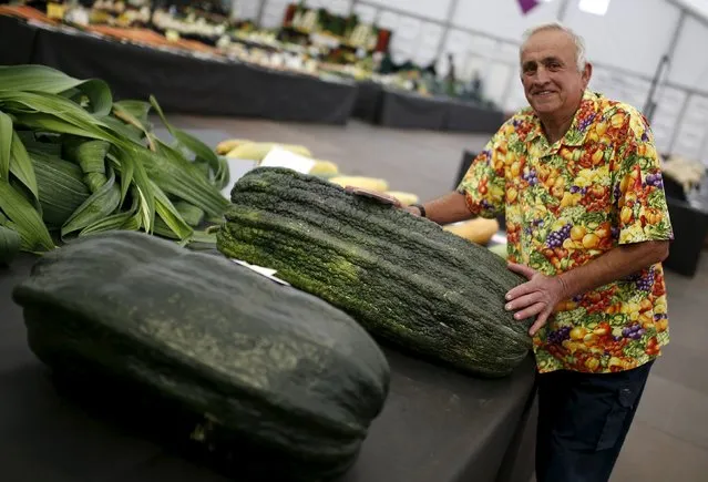 Ian Neale poses with his second placed marrow on the opening day of the Harrogate Autumn Flower Show in Harrogate, northern Britain, September 18, 2015. (Photo by Phil Noble/Reuters)