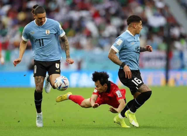 Moonhwan Kim of Korea Republic in action against Mathias Olivera and Darwin Nunez of Uruguay during the FIFA World Cup Qatar 2022 Group H match between Uruguay and Korea Republic at Education City Stadium on November 24, 2022 in Al Rayyan, Qatar. (Photo by Matthew Childs/Reuters)