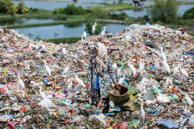 A scavenger collects plastic materials at a garbage dumpsite in Marelan, Medan, North Sumatra Province, Indonesia, 30 November 2022. According to a record by the Indonesian Environment Ministry, the country produced more than 30,8 million ton waste in 2021, which 17,6 percent was plastic waste. (Photo by Dedi Sinuhaji/EPA/EFE)