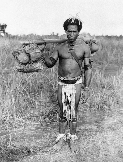 Hamatapa, a New Guinea native, is a bachelor decked out in his best finery on July 11, 1943. He carries a pipe in his bracelet, food in the nets, and chews betel nut. (Photo by AP Photo/Acme)