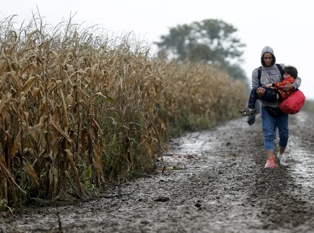 A migrant carries a child as he walks to cross the border into Croatia, near the town of Sid in Serbia October 12, 2015. (Photo by Antonio Bronic/Reuters)