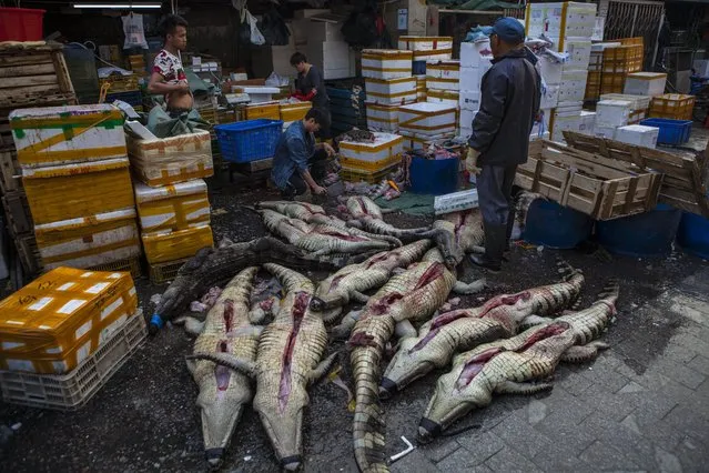 Crocodiles stands on display for buyers on Huangsha Seafood Market in Guangzhou, Guandong Province, China, 18 January 2018. (Photo by Aleksandar Plavevski/EPA/EFE)