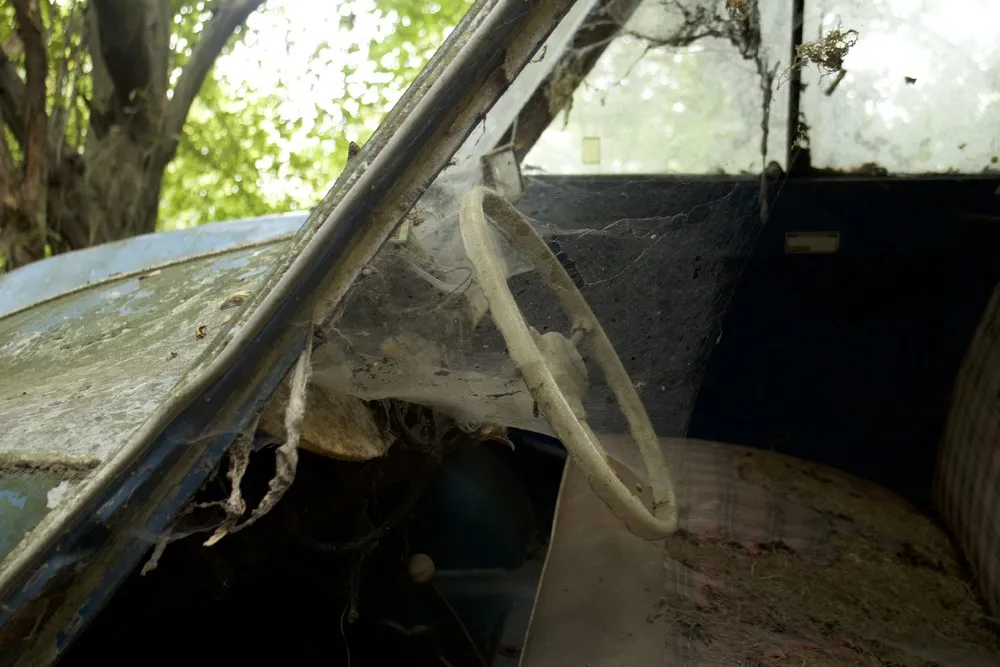 Million Dollar Car Graveyard