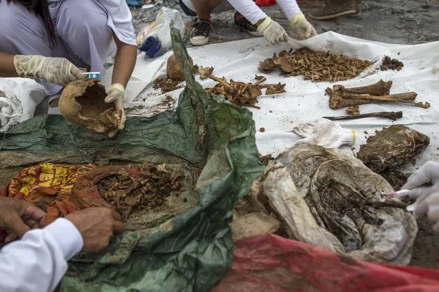 Volunteers clean skulls and remains of unclaimed bodies after they were dug out from a graveyard during a mass exhumation at Poh Teck Tung Foundation Cemetery in Samut Sakhon province, Thailand November 3, 2015. (Photo by Athit Perawongmetha/Reuters)