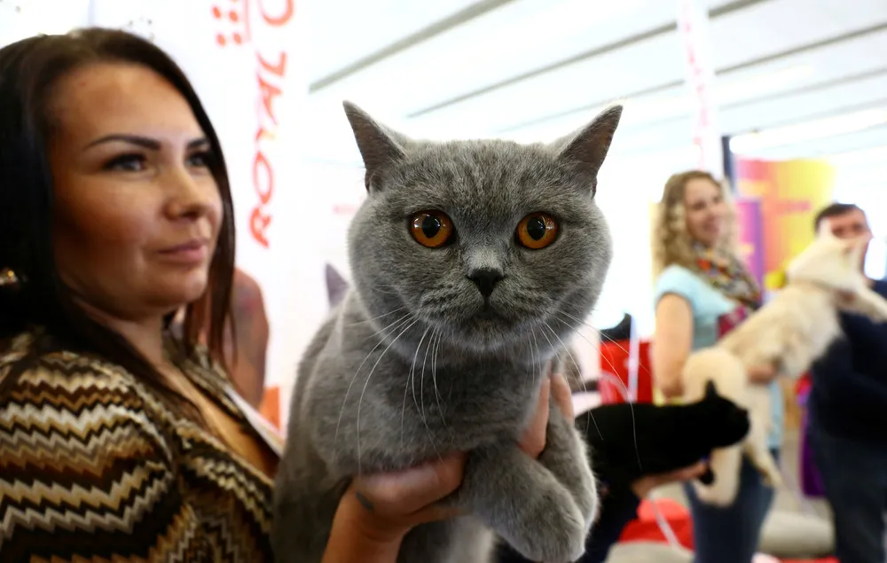 The Day in Photos – October 9, 2016