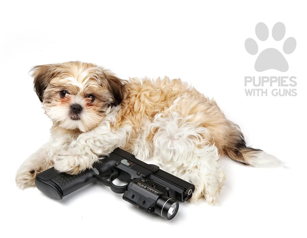 Puppies with Guns Calendar 2015