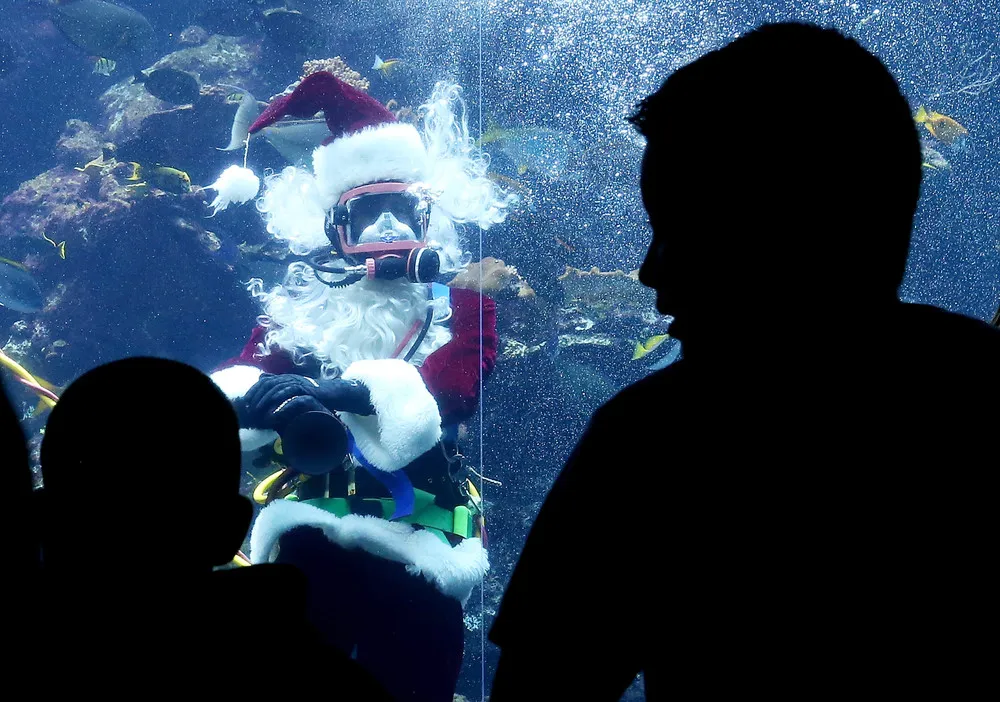 Christams Madness Around the World: Underwater