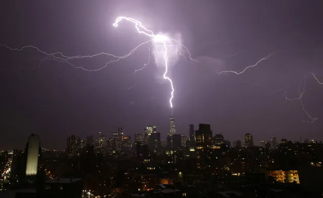 A bolt of lightning strikes the Spire of One World Trade Center in lower Manhattan as a thunder storm moves through the New York City area on August 22, 2017. (Photo by UPI/Barcroft Images)