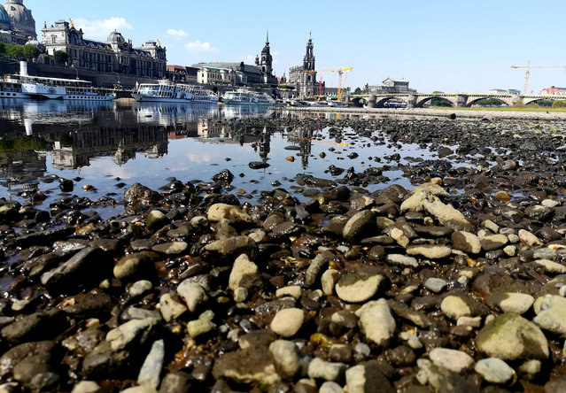 Sightseeing boats sit at the Elbe river in Dresden after water levels dropped to an extreme low this summer, Germany, July 31, 2018. (Photo by Fanny Brodersen/Reuters)