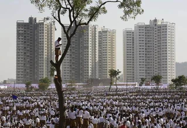 A volunteer of the Hindu nationalist organisation Rashtriya Swayamsevak Sangh (RSS) stands on a tree as others arrive to attend a conclave on the outskirts of Pune, India, January 3, 2016. (Photo by Danish Siddiqui/Reuters)